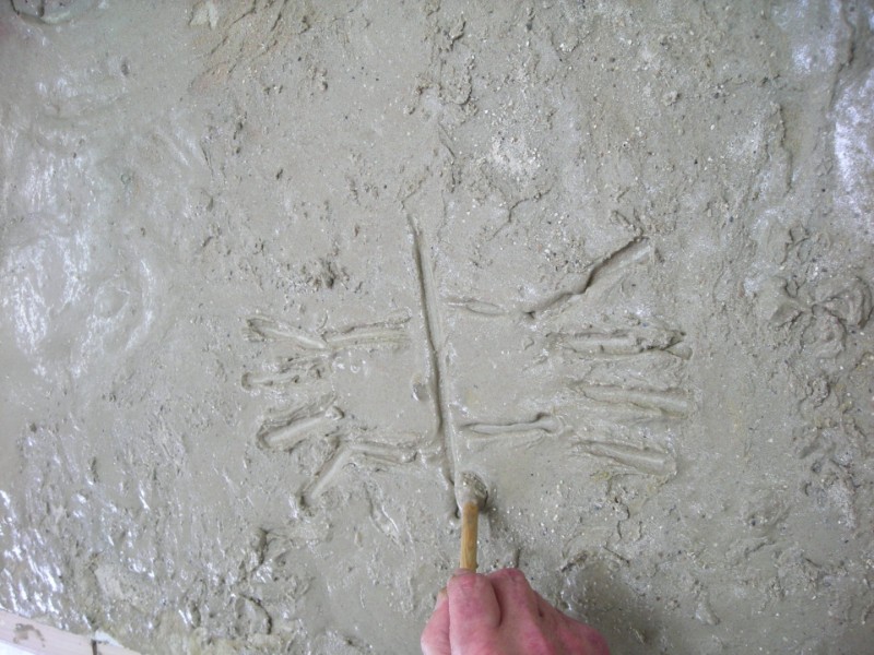 Die Linien von Nazca